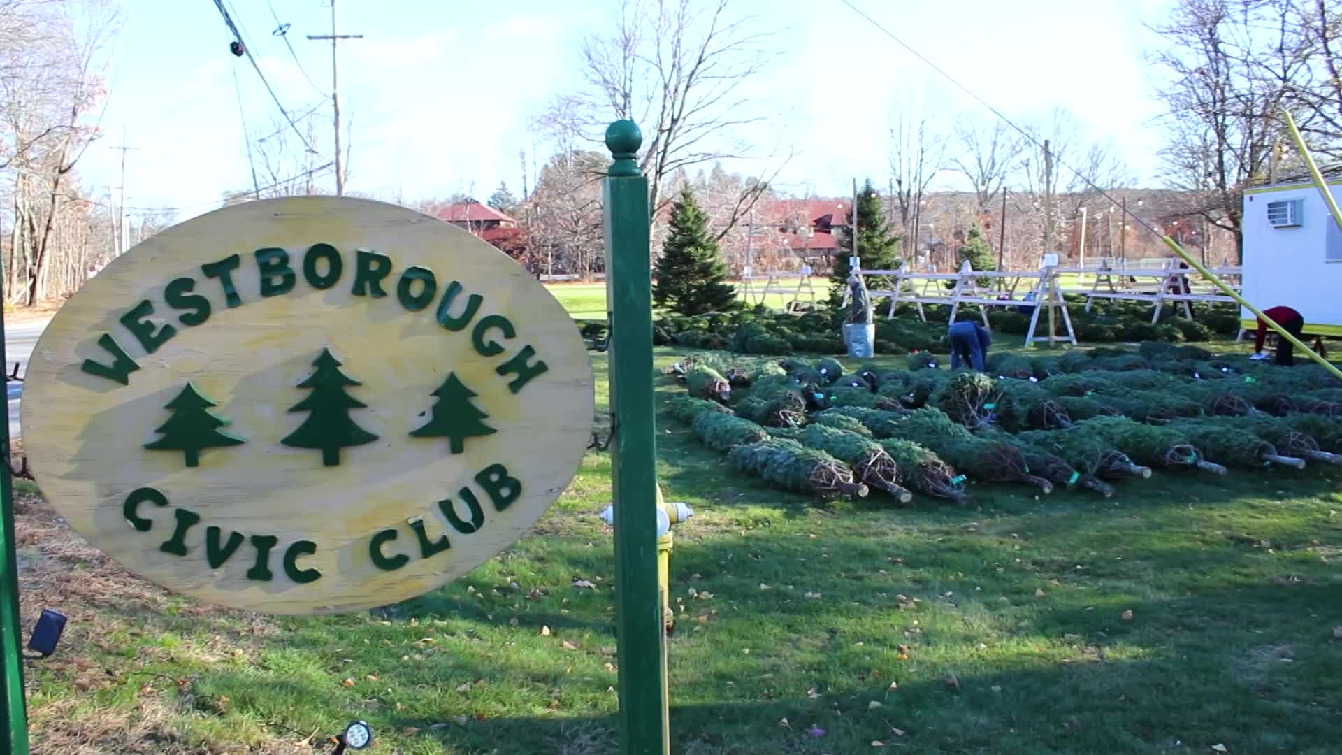 Thumbnail image for Civic Club Tree Sale PSA 2023