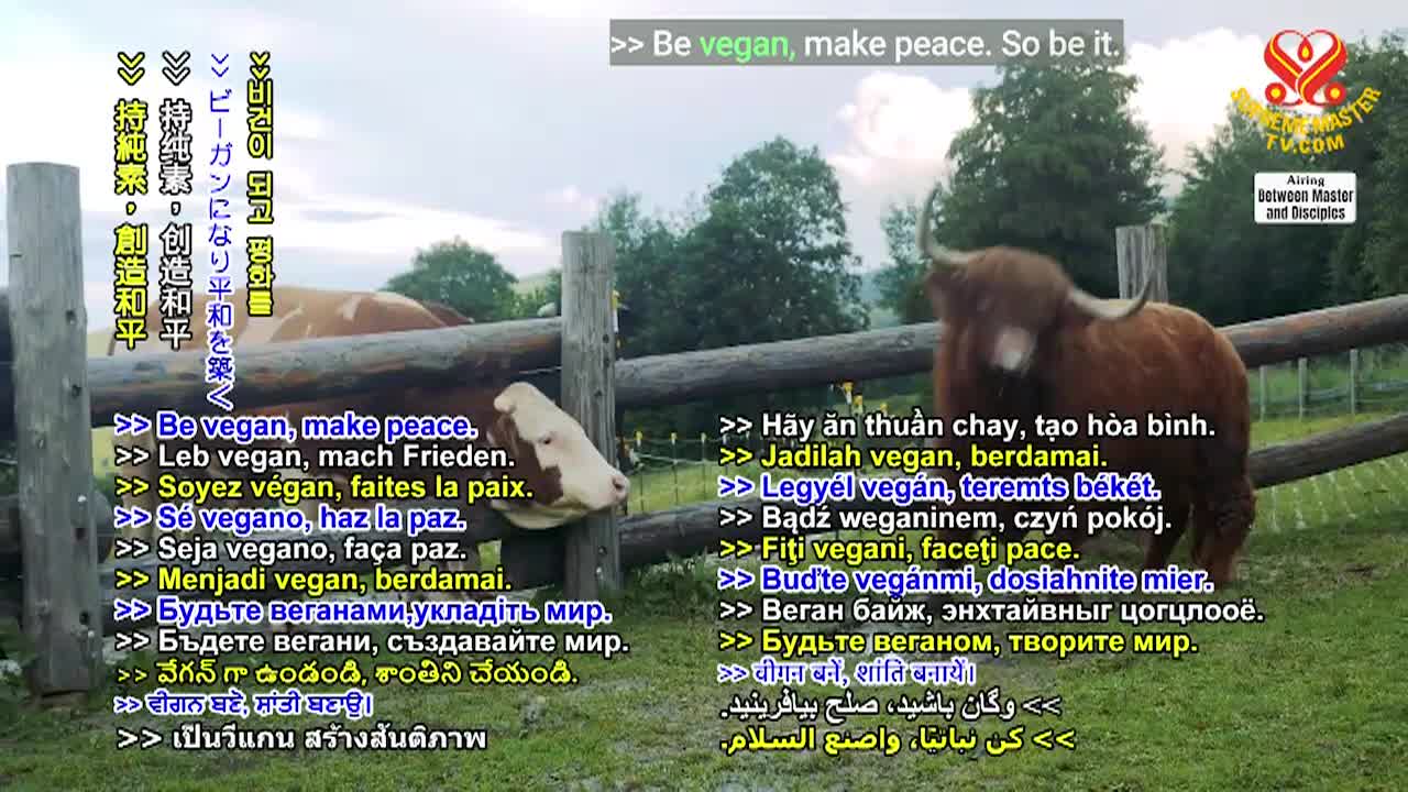 Thumbnail image for Supreme Master TV - Love Is All Inclusive - Part 2