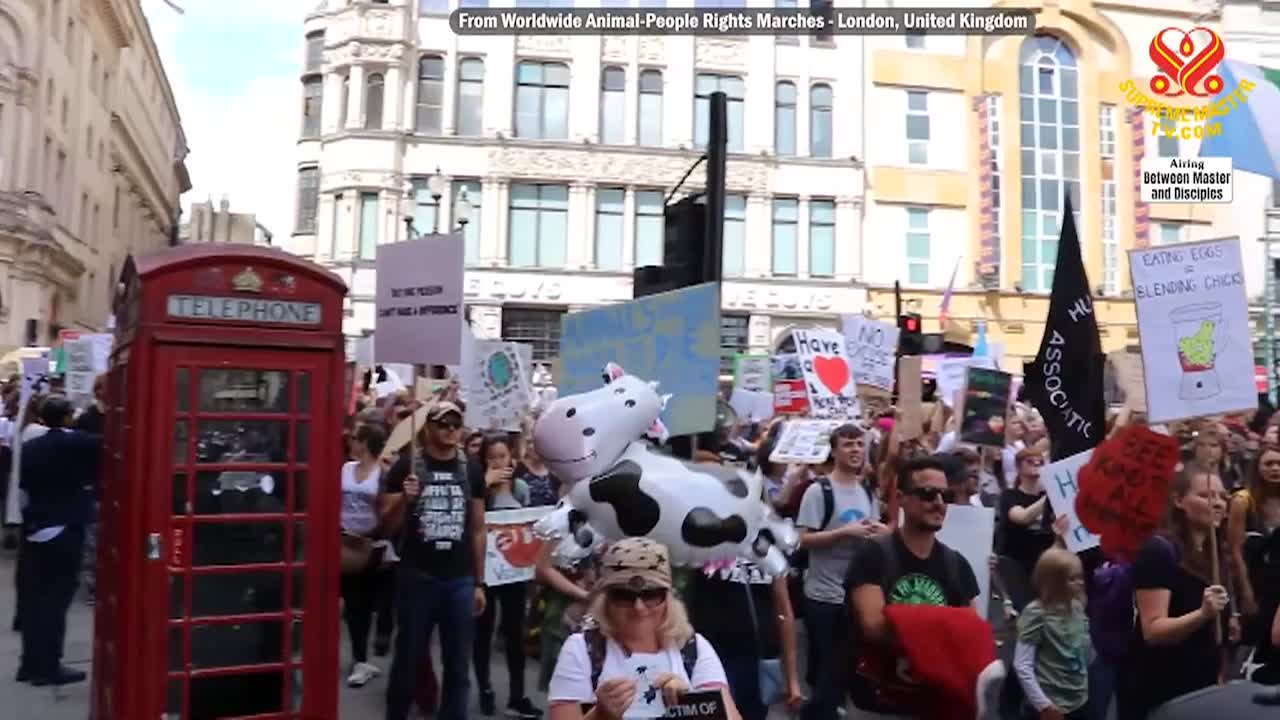 Thumbnail image for Supreme Master TV - The Zealous Ghost Falsely Declaring He Is Maitreya Buddha, Part 1