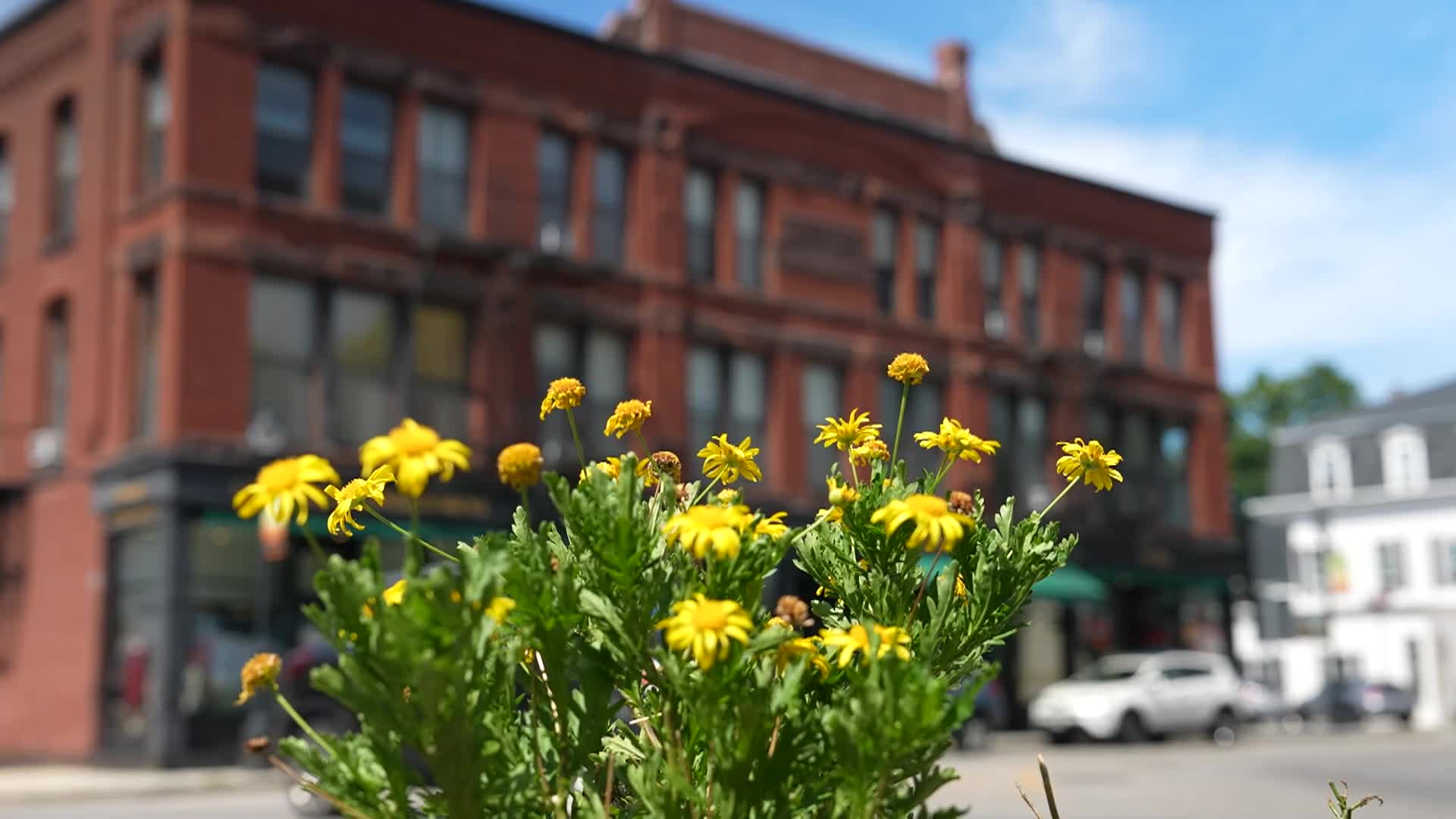 Welcome to Westborough MA